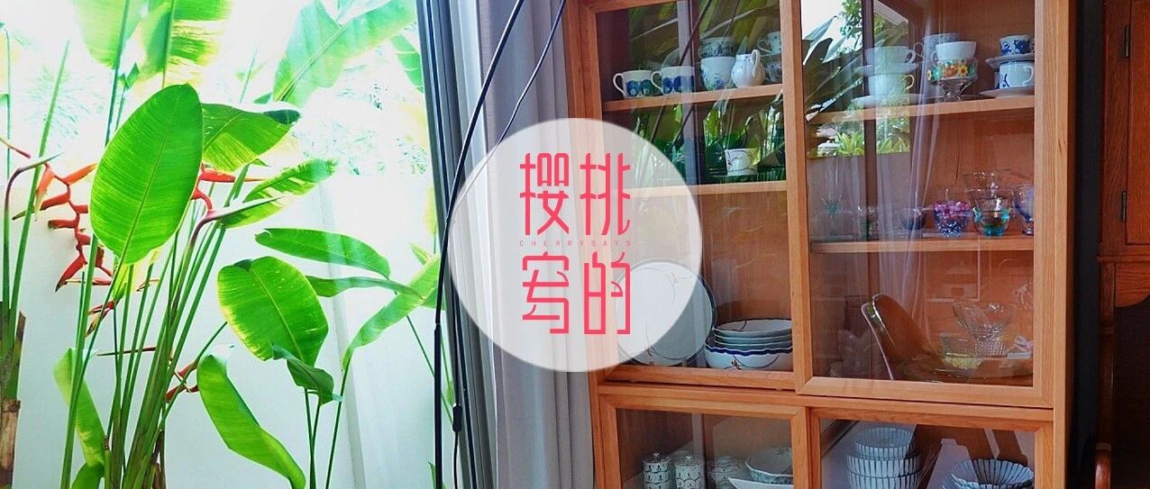 甜蜜的负担｜买了这么多杯子要怎么收纳？！