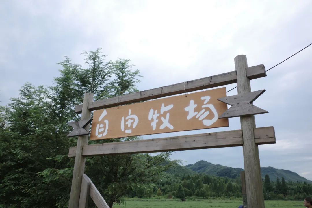 莫幹山攻略 ｜ 去山裡，過夏天！ 旅遊 第51張