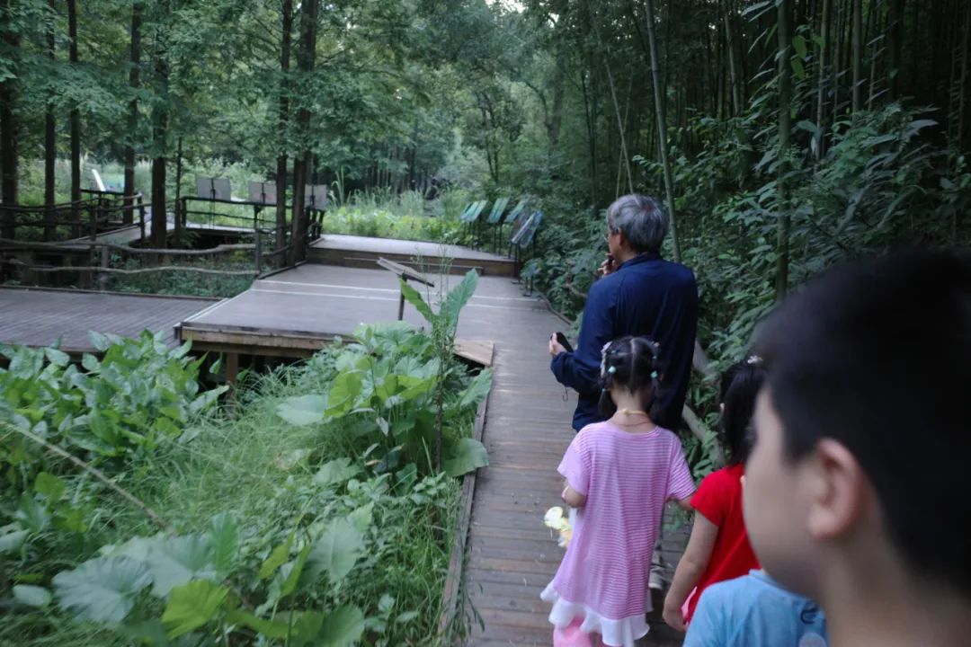 莫幹山攻略 ｜ 去山裡，過夏天！ 旅遊 第48張