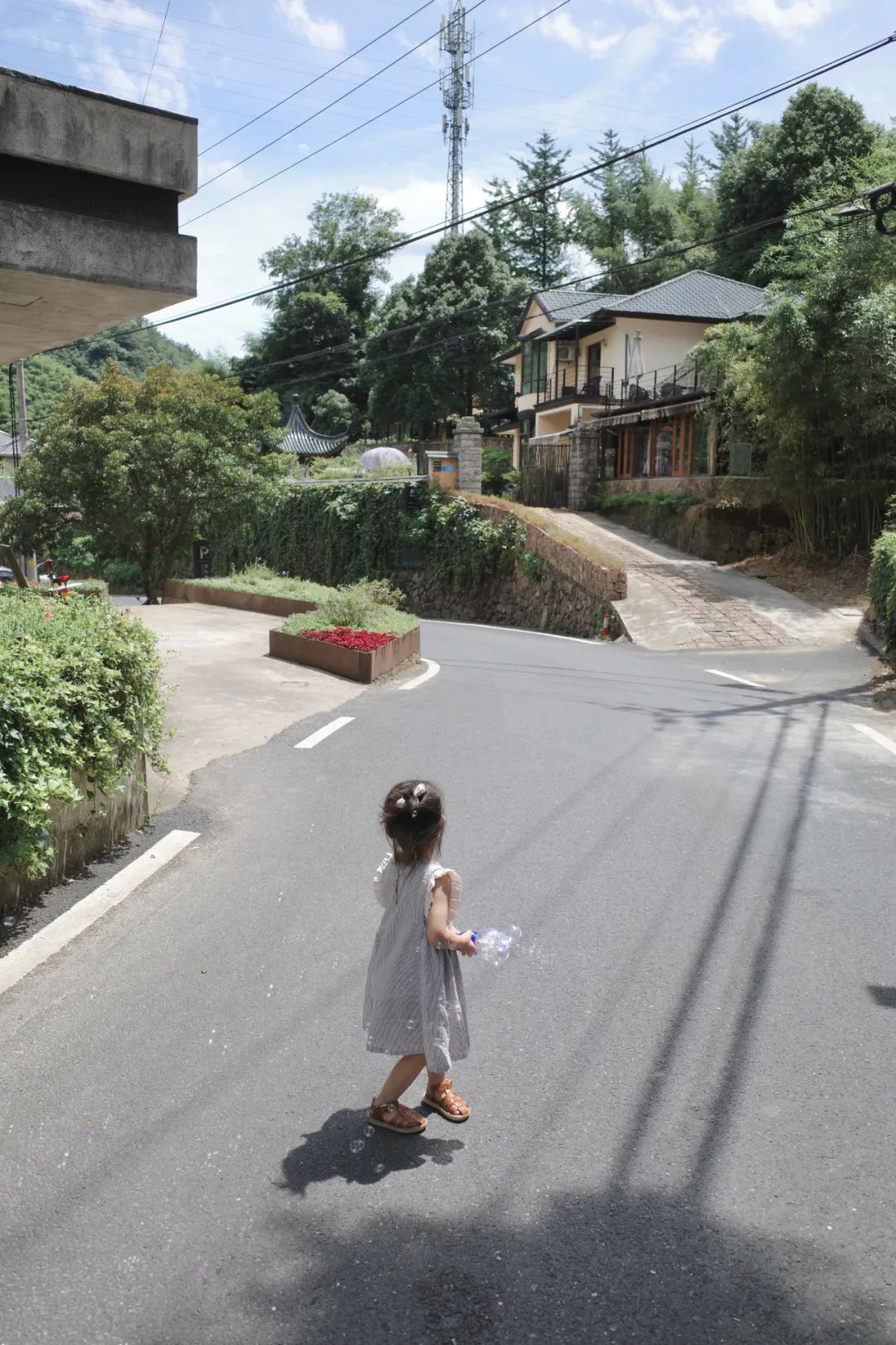 莫幹山攻略 ｜ 去山裡，過夏天！ 旅遊 第20張