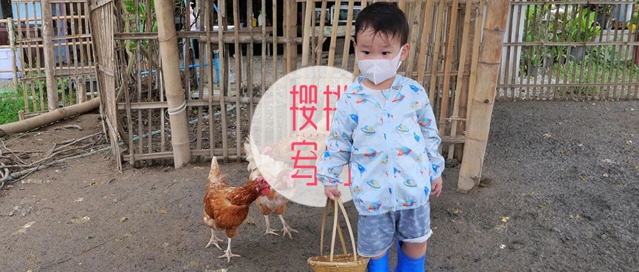 2岁孩子的妈妈在关注些什么？