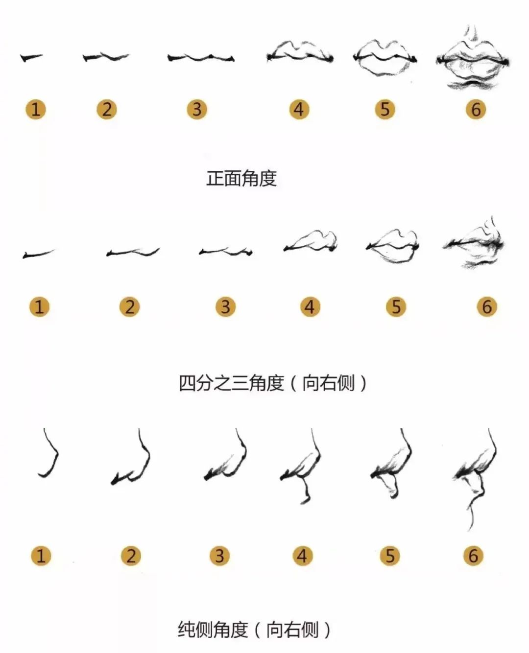 转发学习!眼睛,鼻子,嘴的速写画法