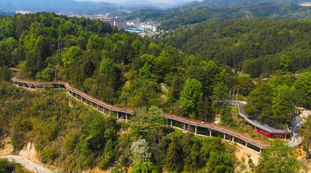 凤山公园栈道犹如巨龙 ,或盘旋 ,或伸展 ,或蜿蜒曲折,穿梭在林海之中