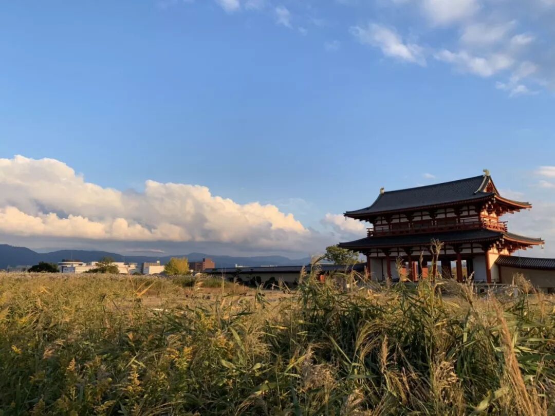 日本 元旦 日本佛像史 游学 历史讲坛游学 微信公众号文章阅读 Wemp