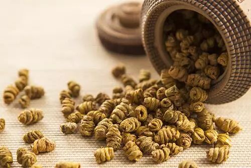 背负“救命仙草”的铁皮石斛知识，您了解吗？