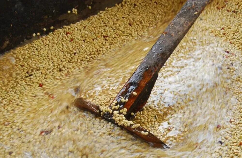 咖啡豆水洗2