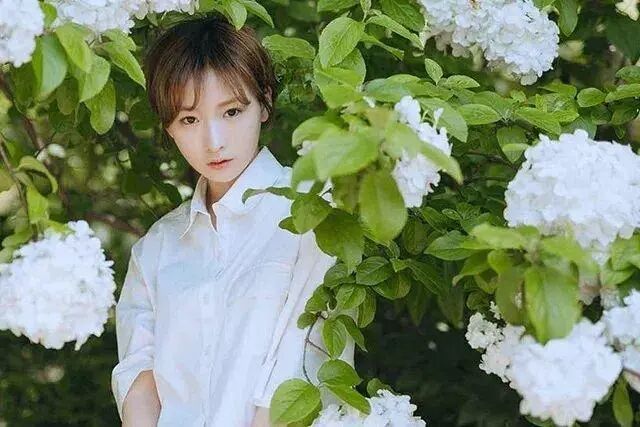 栅格化的快捷键_栅格化图层快捷键_栅格化图层快捷方式