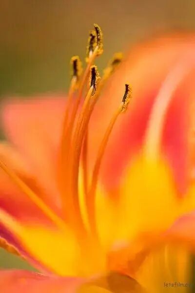 栅格化的快捷键_栅格化图层快捷方式_栅格化图层快捷键