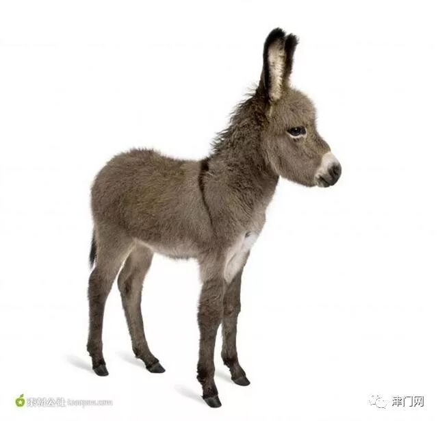 ps剪贴蒙版怎么用_用ps蒙版_ps用蒙版