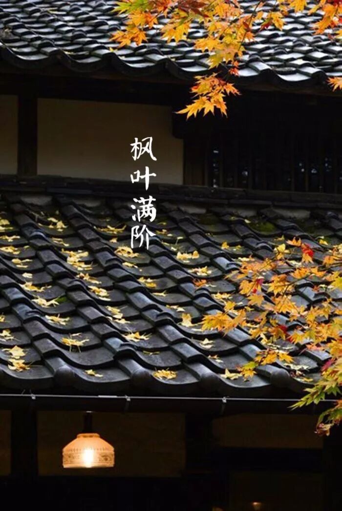 农谚来年枕着馒头睡_来年枕着馒头睡的谚语_今冬麦盖三层被来年枕着馒头睡是什么意思