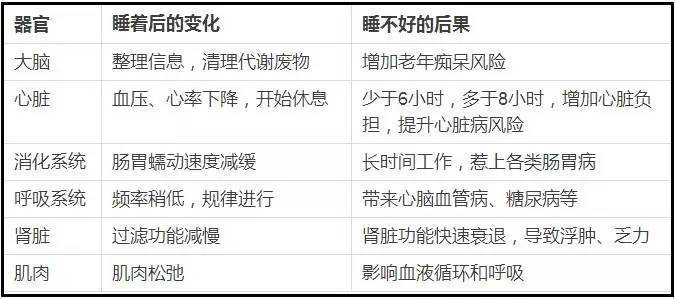 肝臟最容易受到損傷 最後包大神再給大家科普下 各大器官的排毒時間