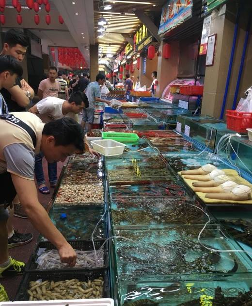 号称中国最大海鲜市场,是广州市乃至全国最大的鲜活水产品批发市场