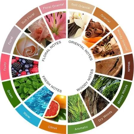 化妆品里的香精不“香”了吗 ？ 第7张