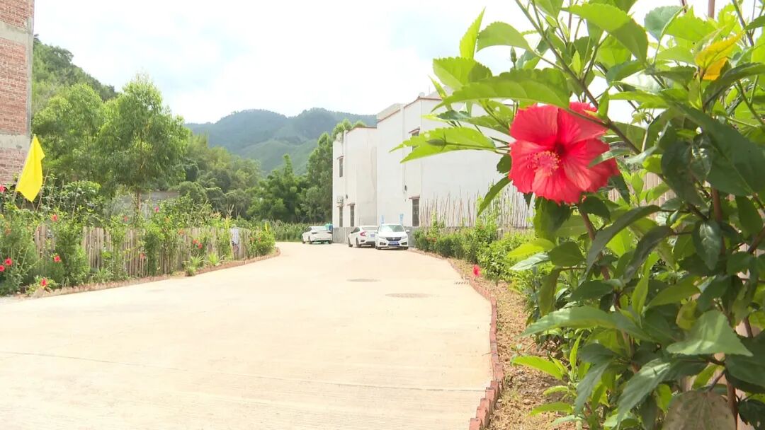 新起点新辉煌贯彻区党代会和两会精神禄步镇贯彻落实区党代会两会精神