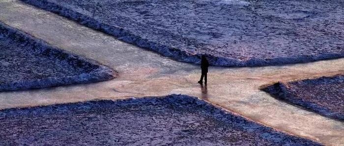 在选择大于努力的时代，谈谈人生选择的思考逻辑