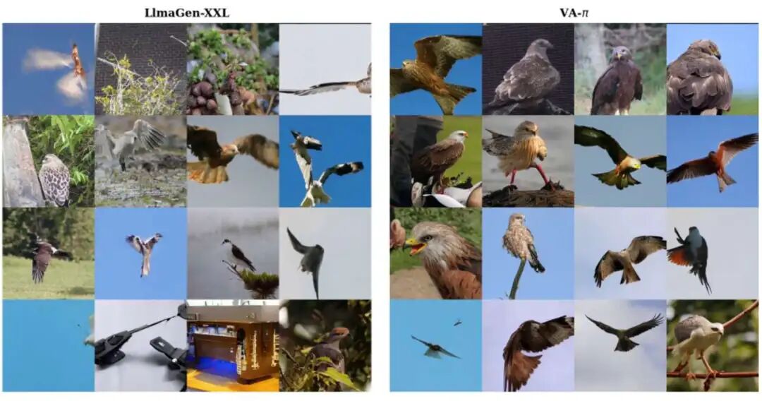 ImageNet C2I: kite.