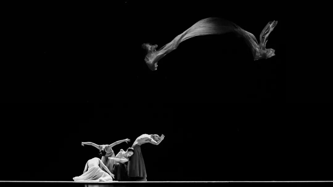 第十一届中国舞蹈"荷花奖"当代舞,现代舞评选圆满落幕