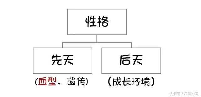 4大血型的性格特点 O重利益 A求完美 B难集中 Ab易精分 血型ab型君的世界 微信公众号文章阅读 Wemp