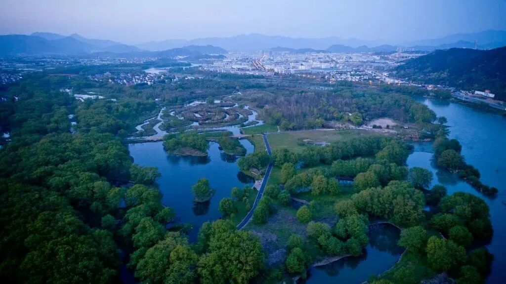 浙江丽水丽水九龙国家湿地公园今年暂停萤火虫观赏