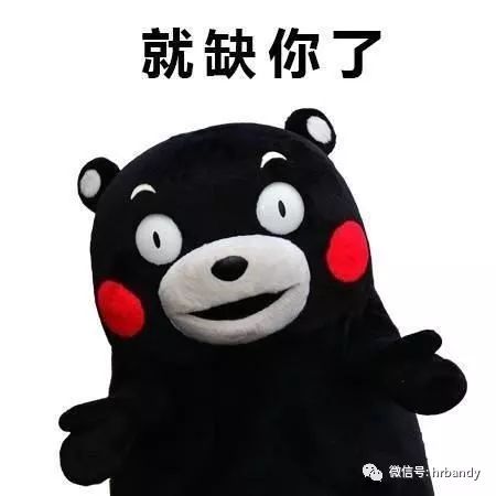 那么就让龙晓微带大家走进 修仙党的世界 缺爱派 思念是会呼吸的痛