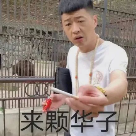 限時喜加一！《賽博朋克2077》可選出身街溜子or社畜！攻略克蘇魯邪神美少女！《死亡擱淺》Steam版本更新！ 遊戲 第5張