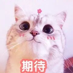一方灵田_一方灵田紫焰椒怎么获得_一方灵田霸王树怎么种