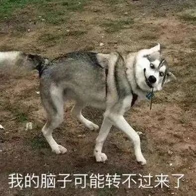 一方灵田_一方灵田霸王树怎么种_一方灵田紫焰椒怎么获得