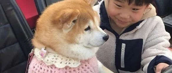 九月有啥值得玩的新游戏？看这一篇就够！《漫威复仇者联盟》！《十字军之王3》IGN10分！《博德之门3》！《原神》《游戏萨姆4》！