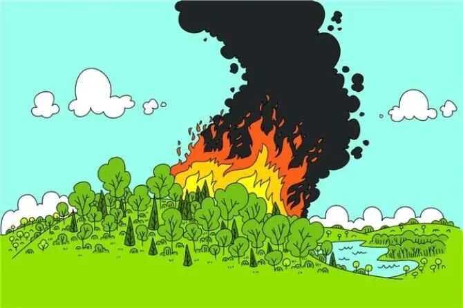 森林火灾有哪些危险和后果1,森林火灾不仅能烧死许多树木,降低林分