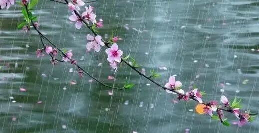 今日雨水，祝福送上！
