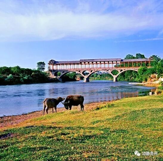泗阳县是县级市吗_县市属于泗阳管辖吗_泗阳县属于哪个市