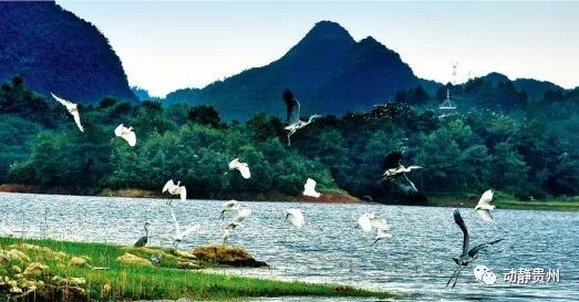 县市属于泗阳管辖吗_泗阳县属于哪个市_泗阳县是县级市吗