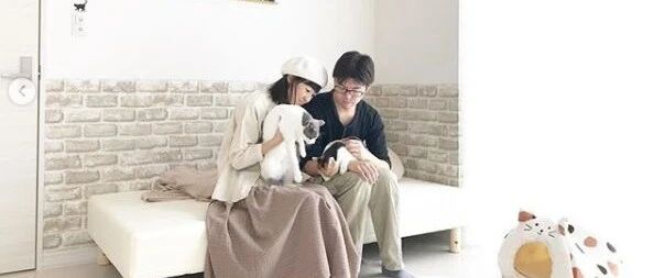 小夫妻不办婚礼不生娃，用积蓄改造出“日系童话房”！莫名戳中都市人痛点