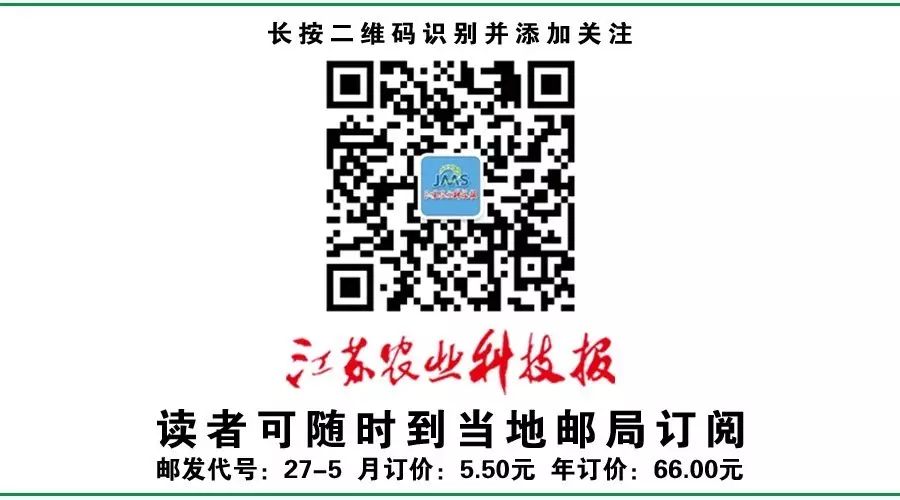 农药甲磺隆除草剂_甲基二磺隆除草机理_甲基二磺隆除草剂