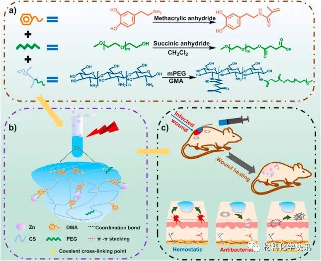 壳聚糖创伤敷料怎么样创面敷料、骨缺损、肌腱损伤、口腔黏膜、心肌梗死……多场景生物医用水凝胶材料定制上线！_https://www.jmylbn.com_新闻资讯_第5张