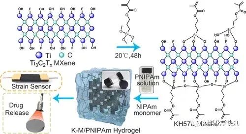 壳聚糖创伤敷料怎么样创面敷料、骨缺损、肌腱损伤、口腔黏膜、心肌梗死……多场景生物医用水凝胶材料定制上线！_https://www.jmylbn.com_新闻资讯_第6张