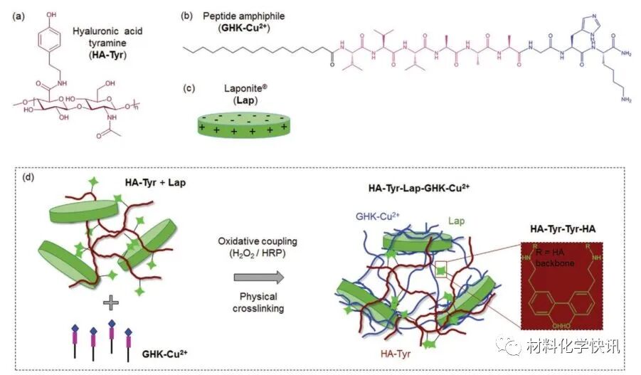 壳聚糖创伤敷料怎么样创面敷料、骨缺损、肌腱损伤、口腔黏膜、心肌梗死……多场景生物医用水凝胶材料定制上线！_https://www.jmylbn.com_新闻资讯_第14张