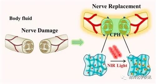 壳聚糖创伤敷料怎么样创面敷料、骨缺损、肌腱损伤、口腔黏膜、心肌梗死……多场景生物医用水凝胶材料定制上线！_https://www.jmylbn.com_新闻资讯_第39张
