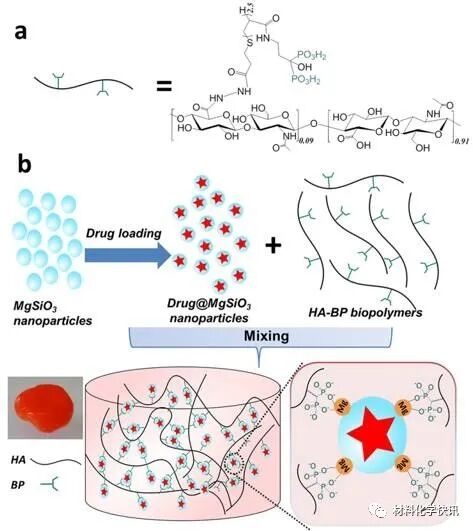 壳聚糖创伤敷料怎么样创面敷料、骨缺损、肌腱损伤、口腔黏膜、心肌梗死……多场景生物医用水凝胶材料定制上线！_https://www.jmylbn.com_新闻资讯_第34张