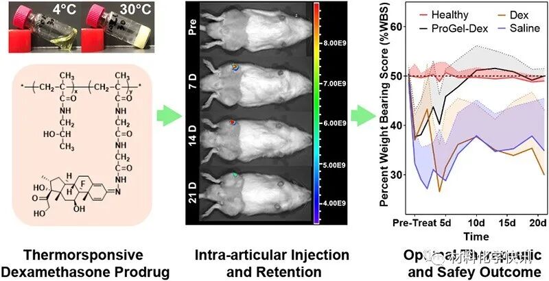 壳聚糖创伤敷料怎么样创面敷料、骨缺损、肌腱损伤、口腔黏膜、心肌梗死……多场景生物医用水凝胶材料定制上线！_https://www.jmylbn.com_新闻资讯_第32张