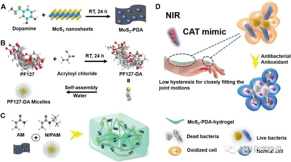 壳聚糖创伤敷料怎么样创面敷料、骨缺损、肌腱损伤、口腔黏膜、心肌梗死……多场景生物医用水凝胶材料定制上线！_https://www.jmylbn.com_新闻资讯_第2张