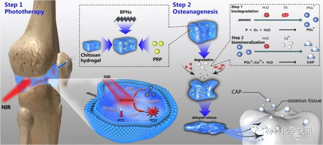 壳聚糖创伤敷料怎么样创面敷料、骨缺损、肌腱损伤、口腔黏膜、心肌梗死……多场景生物医用水凝胶材料定制上线！_https://www.jmylbn.com_新闻资讯_第18张