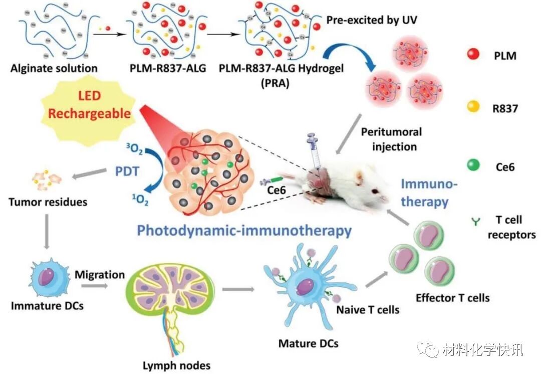 壳聚糖创伤敷料怎么样创面敷料、骨缺损、肌腱损伤、口腔黏膜、心肌梗死……多场景生物医用水凝胶材料定制上线！_https://www.jmylbn.com_新闻资讯_第37张
