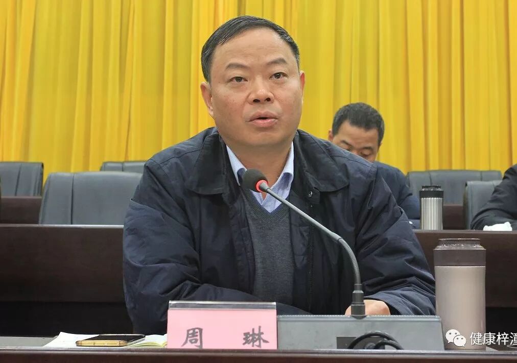 县委书记周琳做重要讲话