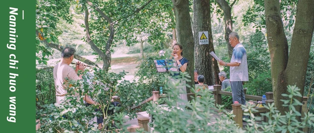 纳凉赏夏景·金花茶公园的另外一种打开方式