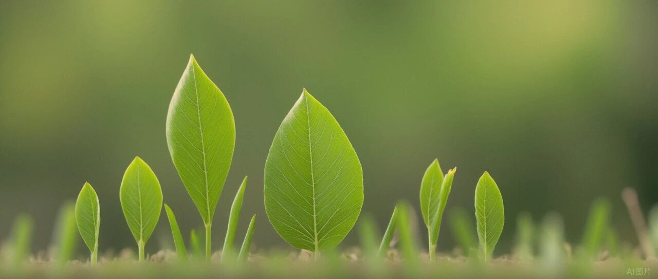 2026农行信用卡分期享国家补贴 每人最高领3000元