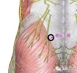 全！腰背痛常見病症康復方案 健康 第6張