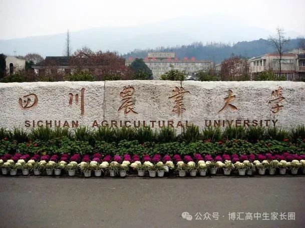 2024年乐山师范学院录取分数线(2024各省份录取分数线及位次排名)_乐山师范学院录取排名_乐山师范录取分数线是多少