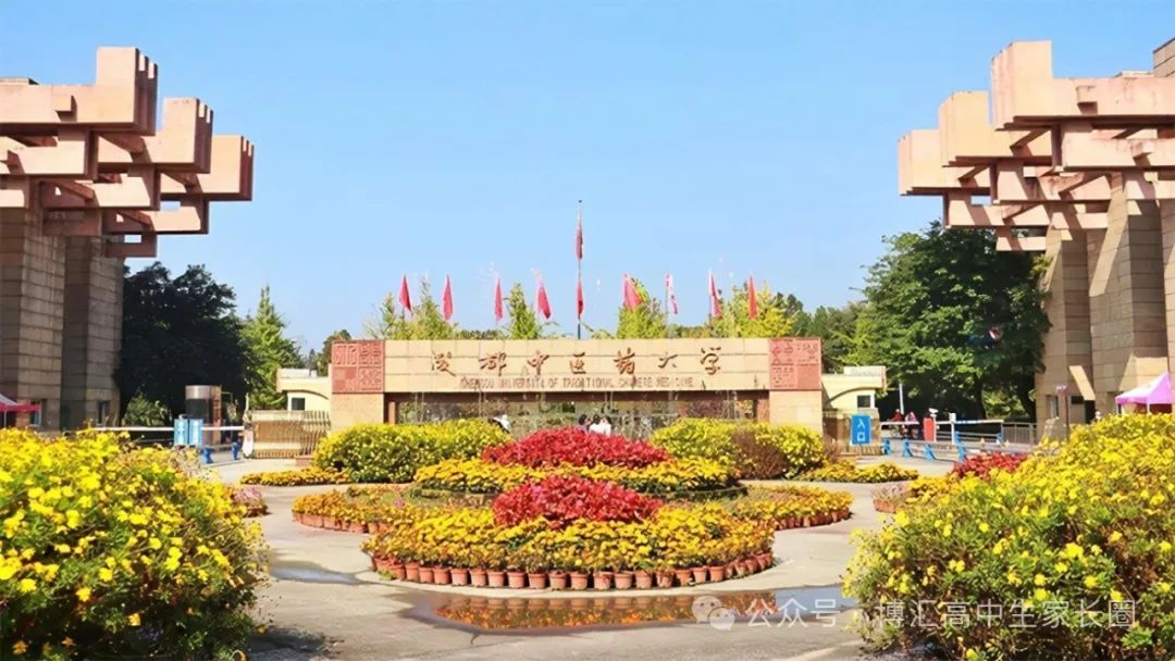 乐山师范学院录取排名_2024年乐山师范学院录取分数线(2024各省份录取分数线及位次排名)_乐山师范录取分数线是多少