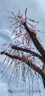 长途代驾，商务代驾，旅游代驾，车辆代驾第7张-2399代驾